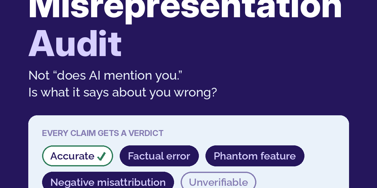 AI Misrepresentation Audit